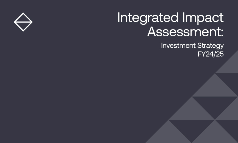 text on grey background: Integrated Impact Assessment - Investment Strategy 24-25